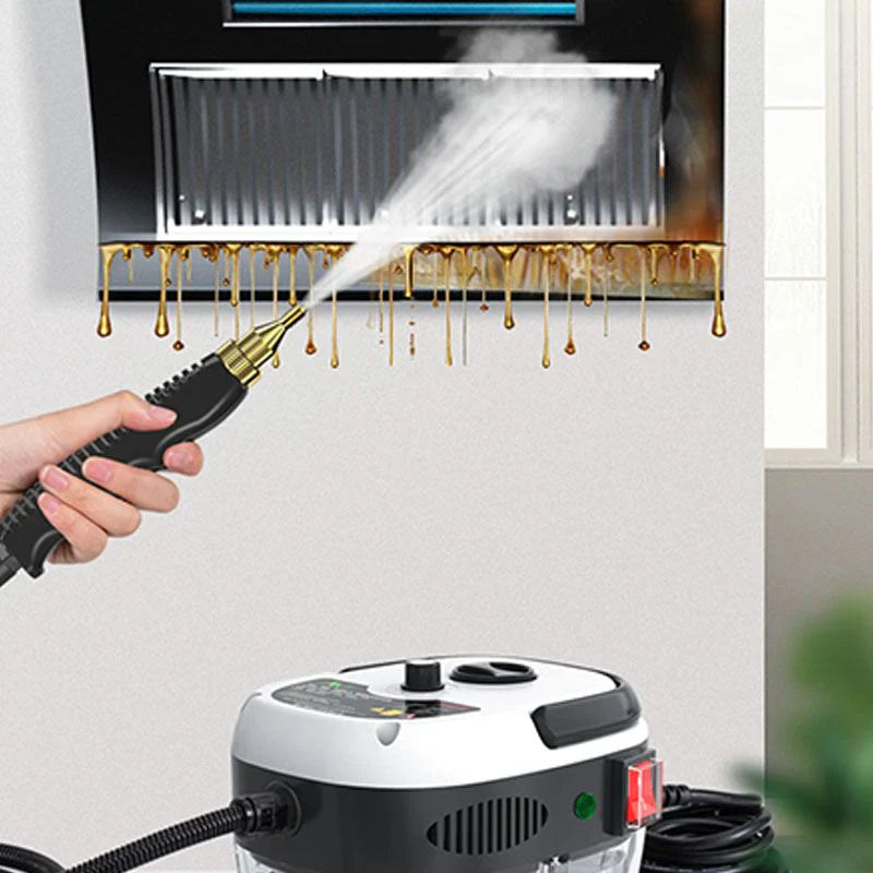 Limpieza Profunda a Vapor